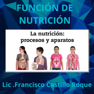 FUNCIONDENUTRICION